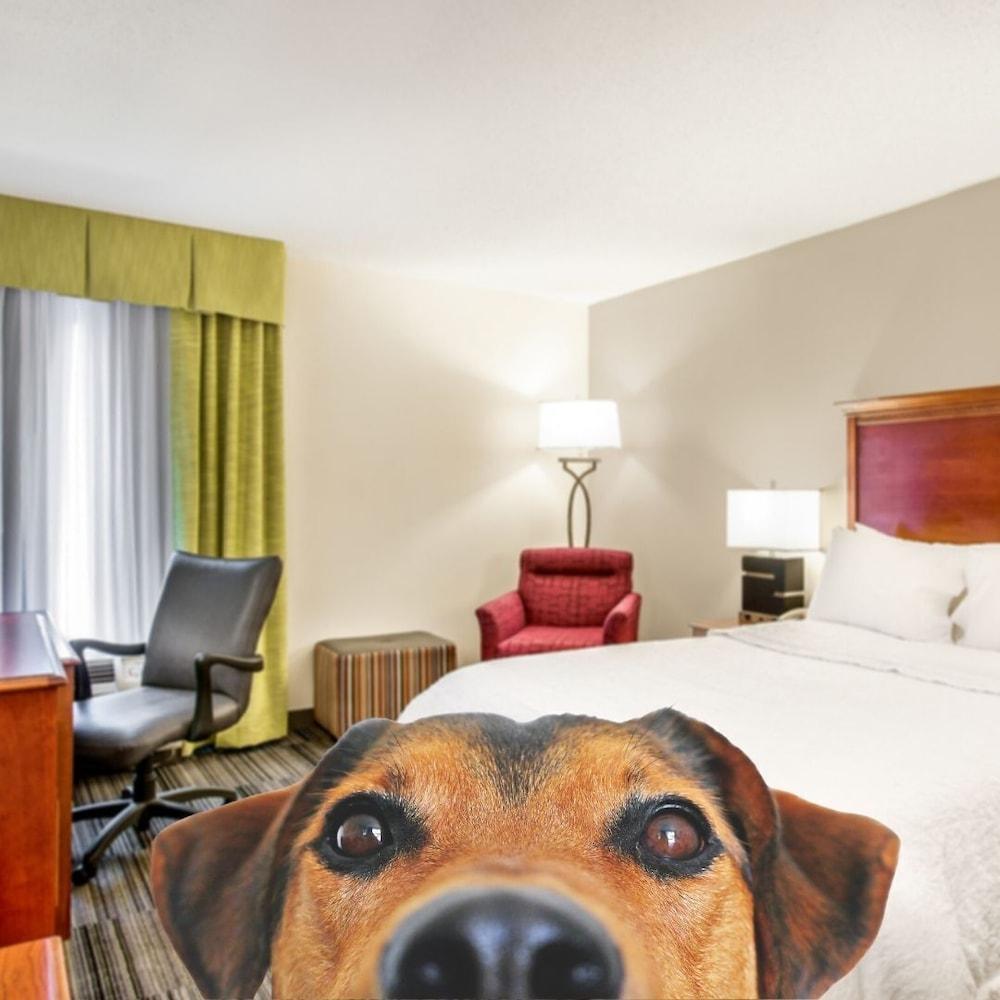 Hampton Inn Bowling Green Ky Екстериор снимка